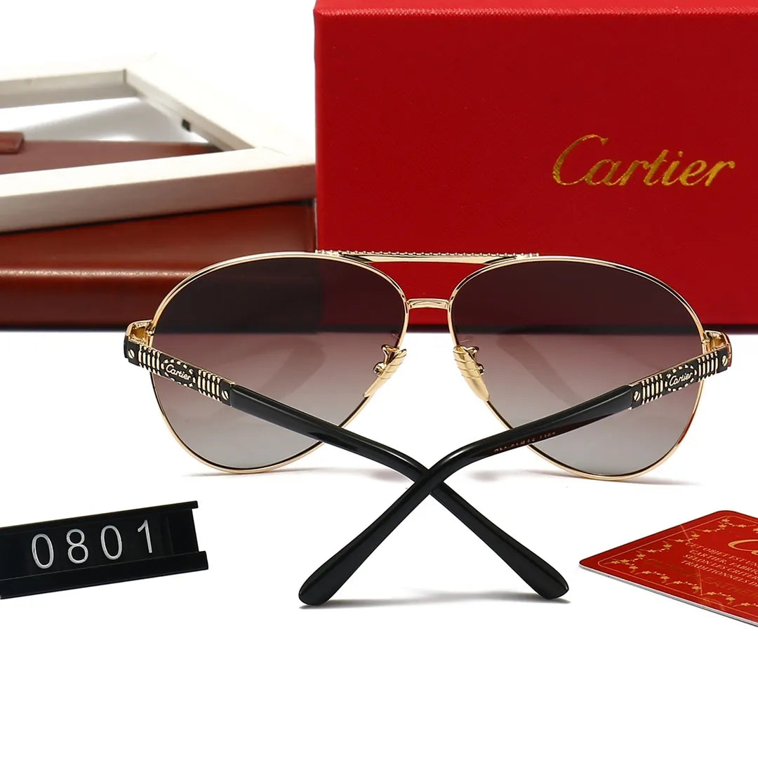 Classic Cool Polarized Metal Sunglasses